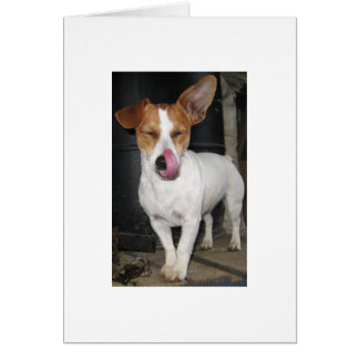 Glädje som slickar henne kotletter hälsningskort