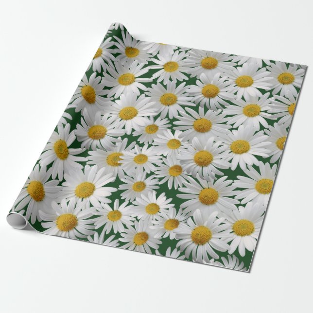 Gladlynt ljus daisy presentpapper (Utrullad)