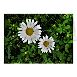 Gladlynt mor- och barndaisy OBS kort