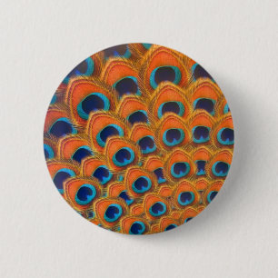 Glam Boho Orange Blue Peacock Fjädrar Knapp