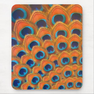 Glam Boho Orange Blue Peacock Fjädrar Musmatta