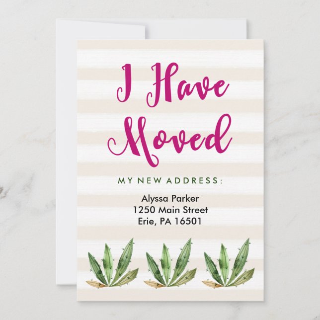 Glam Cactus | Förändring av Rand i Adress vid ökne Meddelande (Framsida)