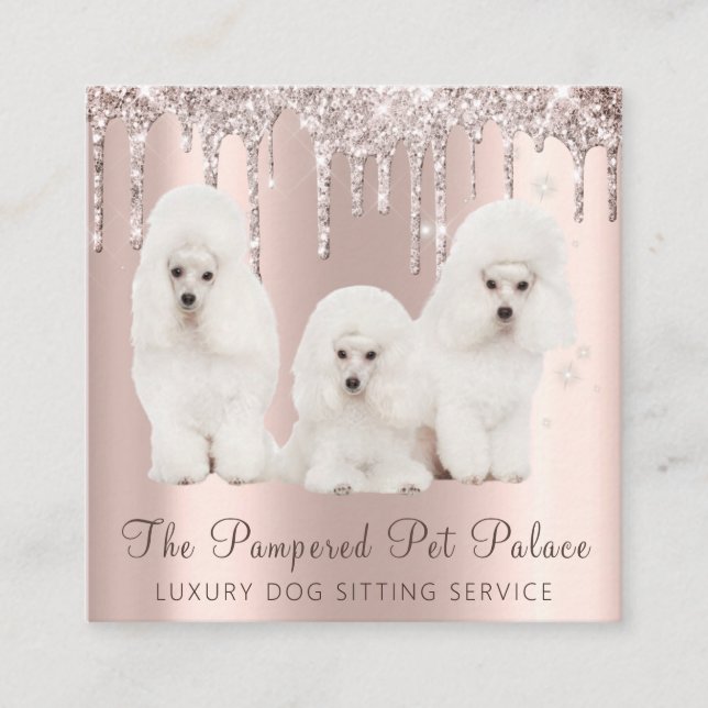 Glam Guld Ro Glitter Drives Pudel Pet Sitta Fyrkantigt Visitkort (Framsida)