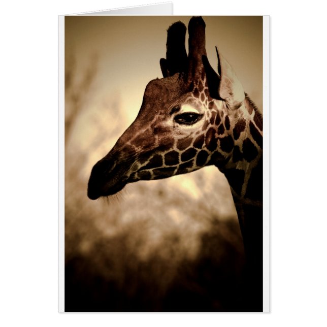 Glam Hälsningskort (Framsidan)