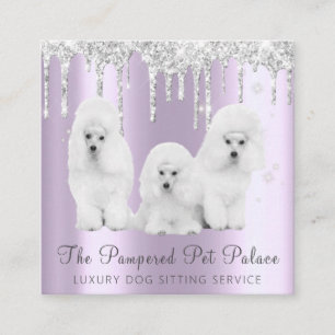 Glam Lavender Glitter Drips Pudel Pet Sitta Fyrkantigt Visitkort