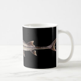 Glåmig stör - Scaphirhynchus albus Kaffemugg