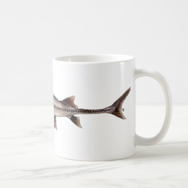 Glåmig stör - Scaphirhynchus albus Kaffemugg (Höger)