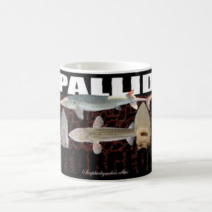 Glåmig störCollagemugg Kaffemugg