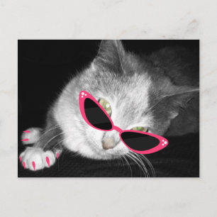 Glamor Cat Födelsedagsfest vycard Inbjudan Vykort
