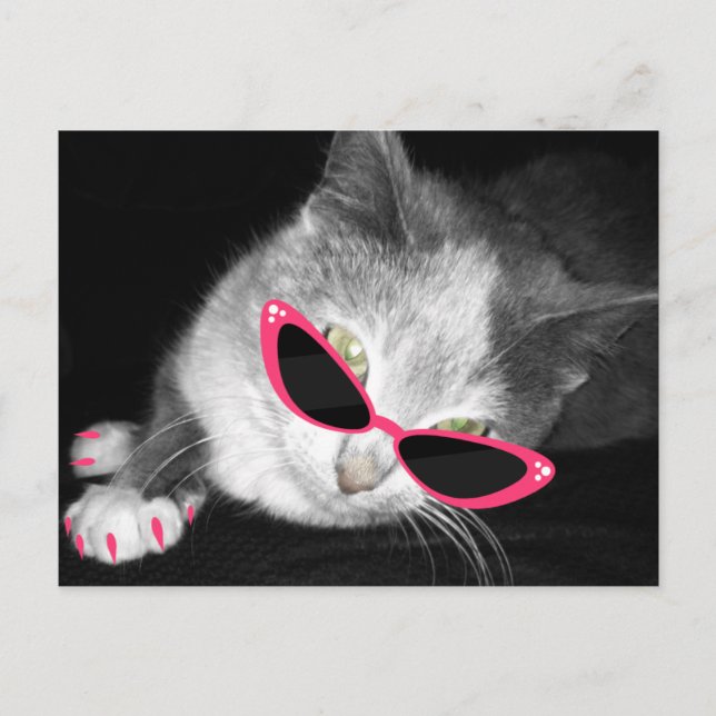 Glamor Cat Födelsedagsfest vycard Inbjudan Vykort (Framsida)