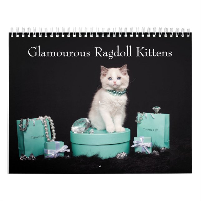 Glamora Ragdoll Kittens Kalender (Omslag)