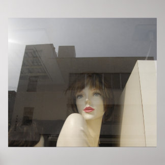 Glamorösa reflektioner poster