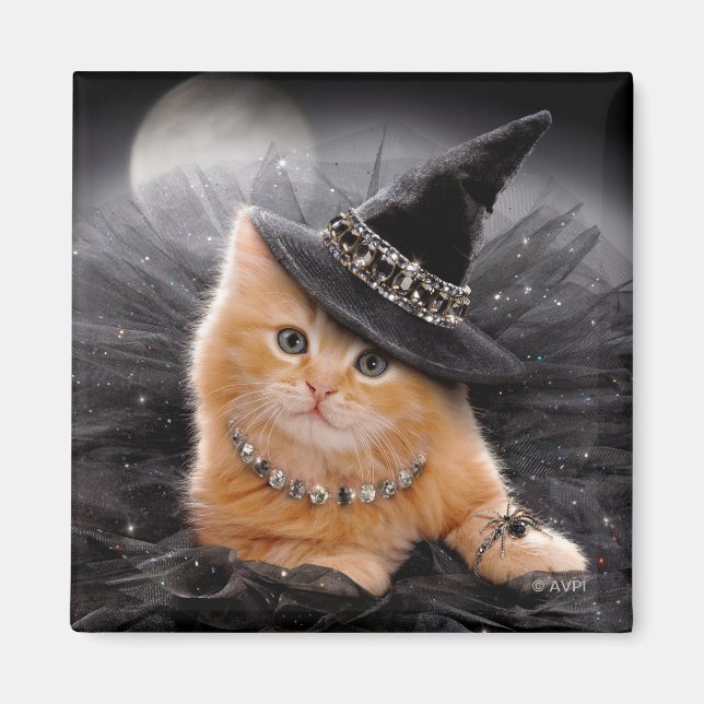 Glamous Witch Kitten Magnet (Framsidan)