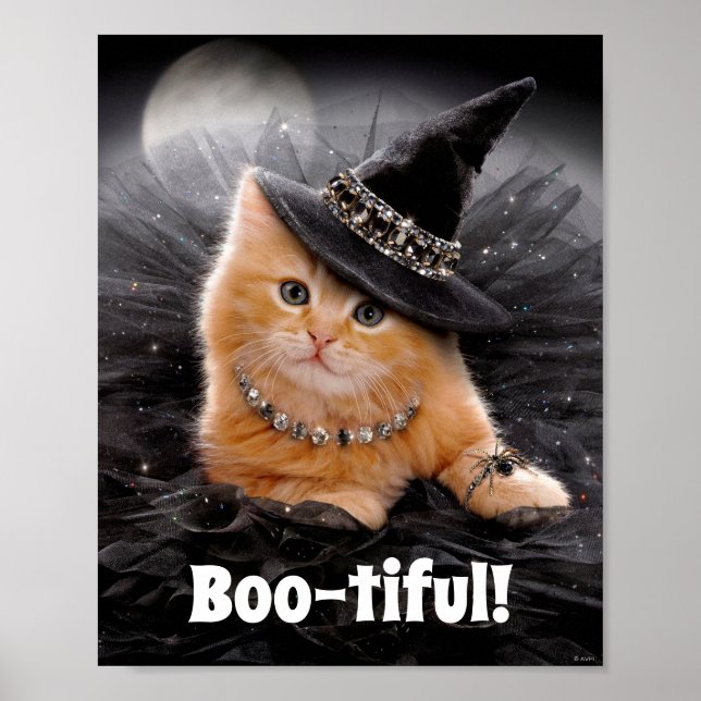Glamous Witch Kitten Poster (Framsidan)