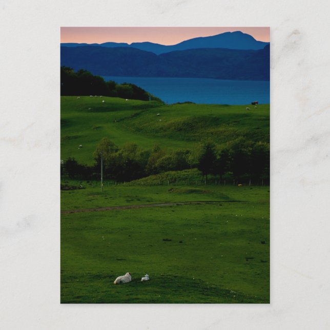 Glängorm Castle vycard 2 Vykort (Framsida)