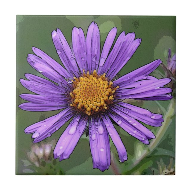 Glans Kakelplatta (Framsidan)