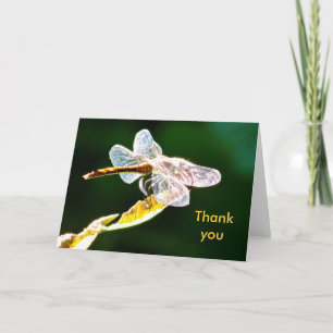 Glänsande dragonfly med hälsningskort tack kort