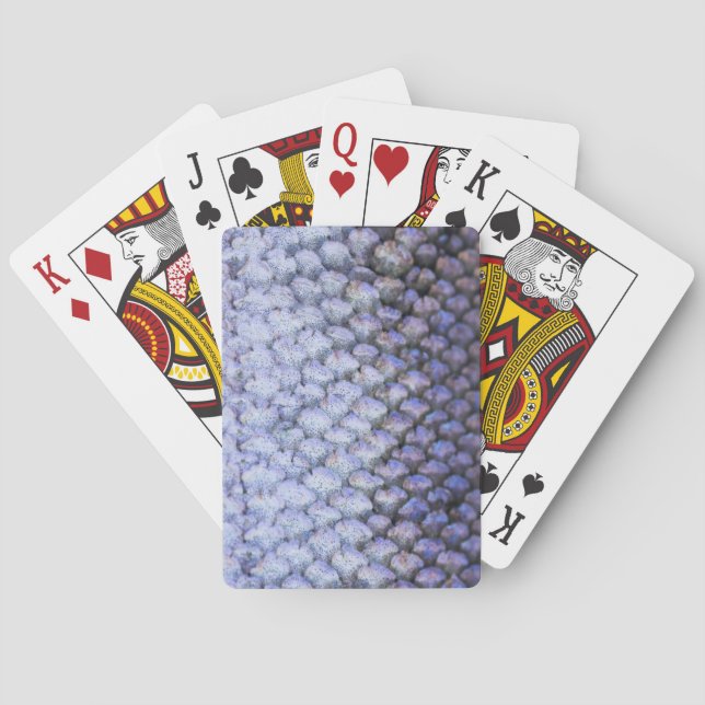 Glänsande lax casinokort (Baksidan)