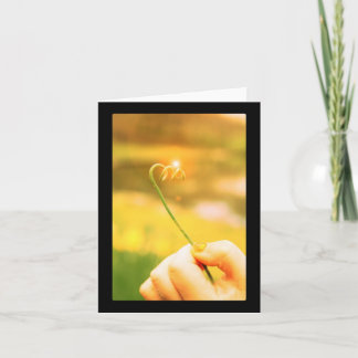 Glänsande lökkrullningsStem Kort