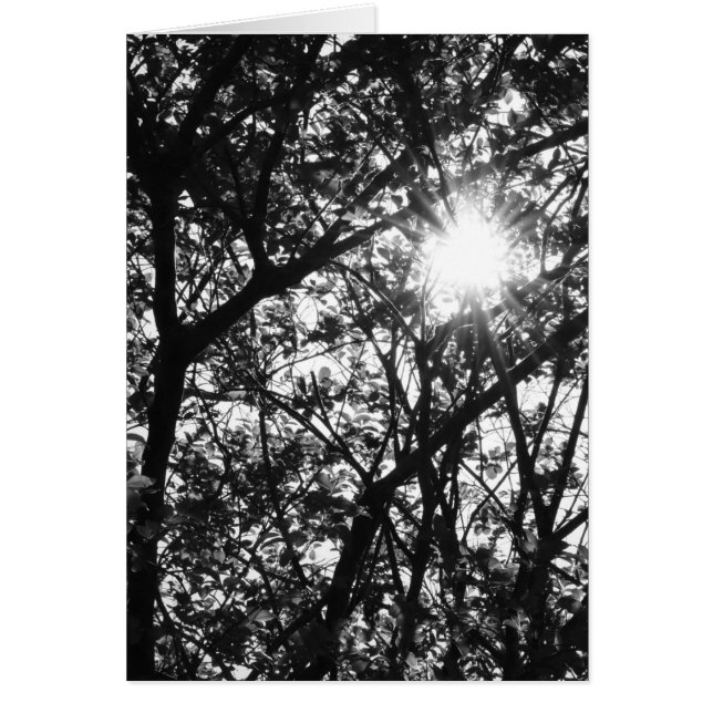 Glänsande till och med hälsningskort (Framsidan)