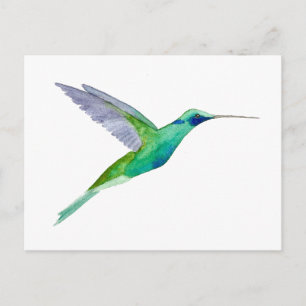 Glänsande violettörad kolibri vykort