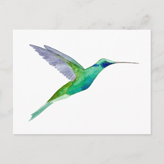 Glänsande violettörad kolibri vykort (Framsida)