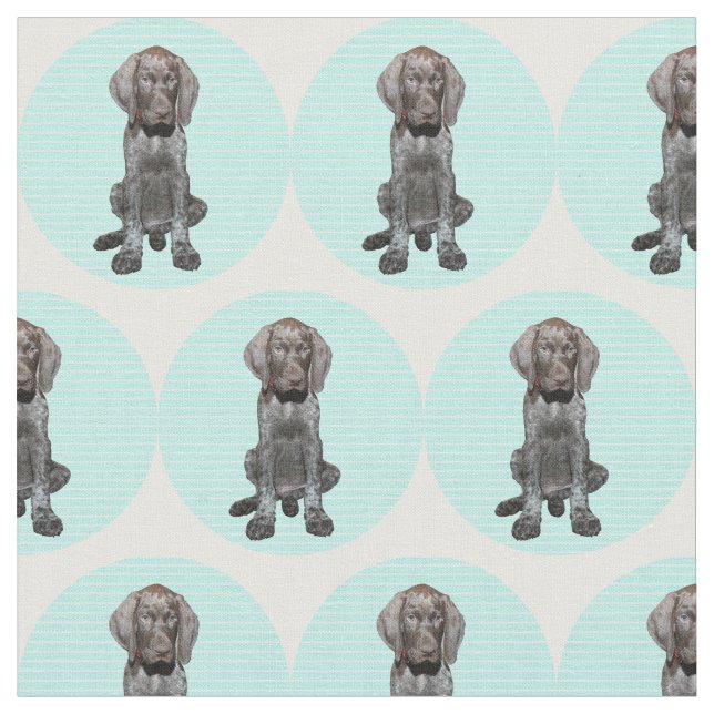 Glansig Grizzly i blått Tyg (Närbild)