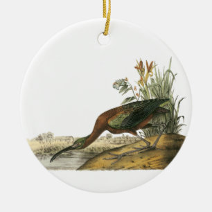 Glansiga Ibis, John Audubon Julgransprydnad Keramik