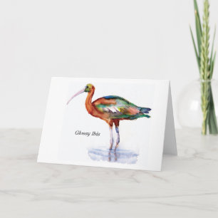 Glansiga Ibis noterar kortet Kort
