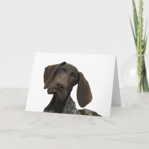 Glansigt Grizzlyhälsningkort Kort