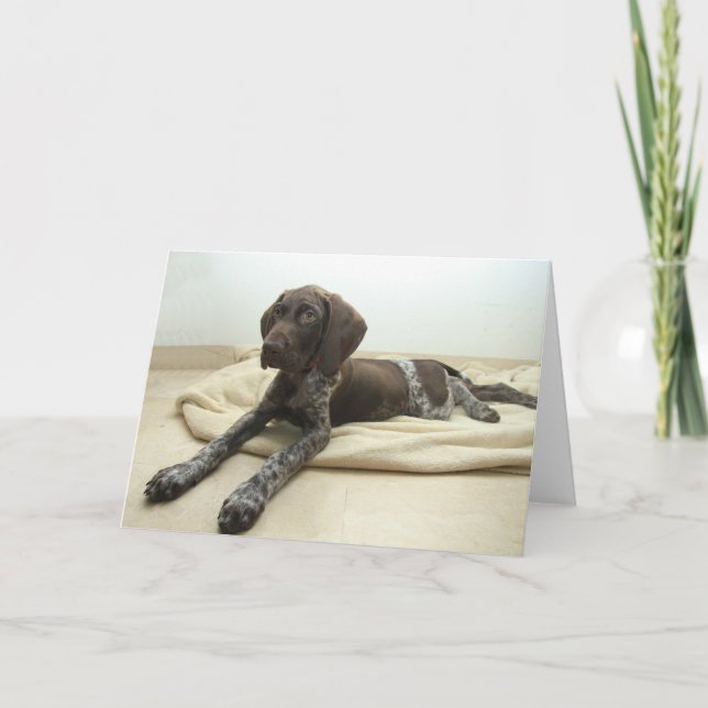 Glansigt Grizzlyhälsningkort Kort (Framsida)