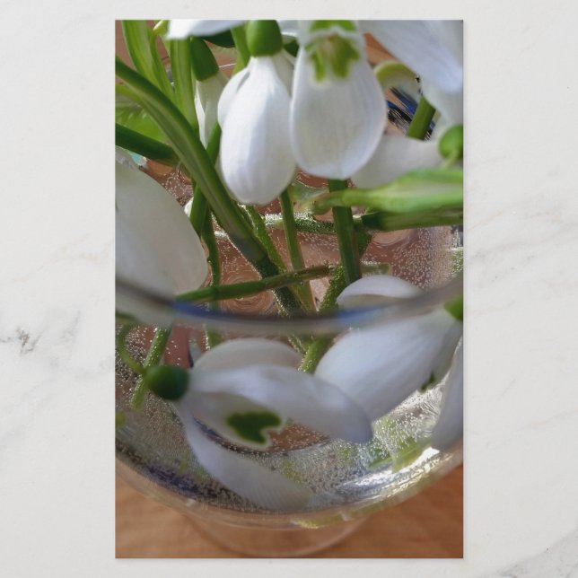 Glas av snödroppar brevpapper (Framsida)