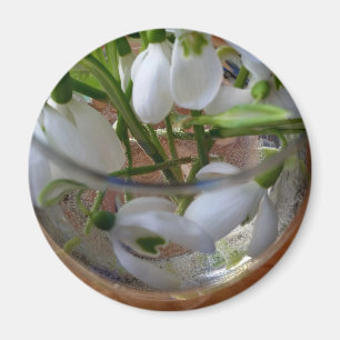 Glas av snödroppar magnet