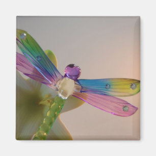 Glas Dragonfly Magnet
