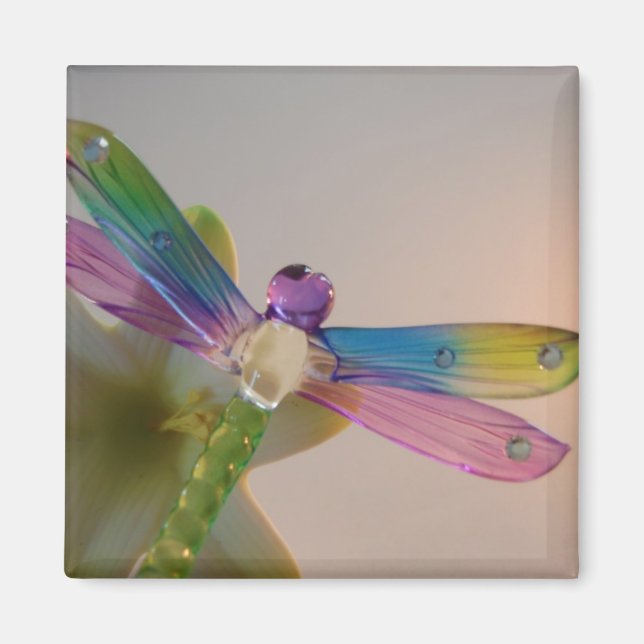 Glas Dragonfly Magnet (Framsidan)