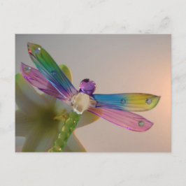 Glas Dragonfly-vykort Vykort
