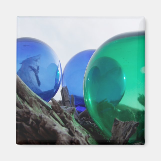 Glas flytande på grått-drivträ magnet (Framsidan)