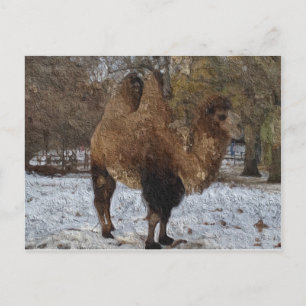 Glaserad Camel Art Vykort