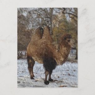 Glaserad Camel Art Vykort