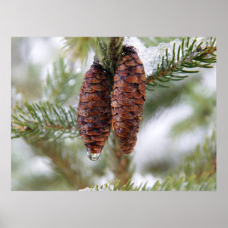 Glaserade konger poster