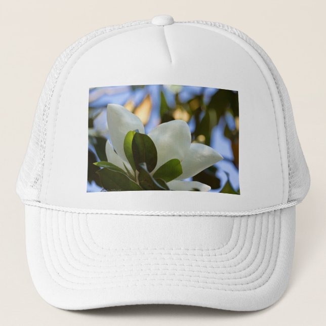 Glasfärgat Himmels Södra Magnolia Presenter Kläder Keps (Framsida)