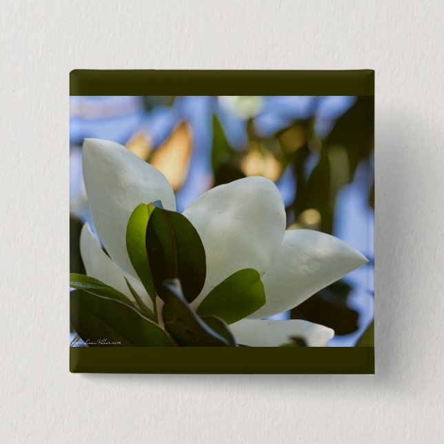 Glasfärgat Himmels Södra Magnolia Presenter Kläder Knapp (Framsida)
