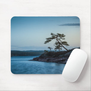 Glaskogen Sverige Musmatta