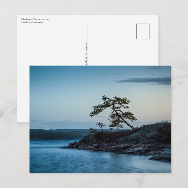 Glaskogen Sverige Vykort (Fram/baksida)