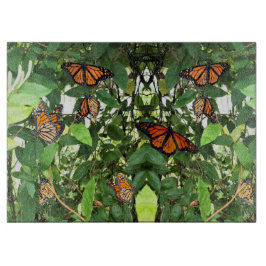 Glasköksduk - massor av monarker