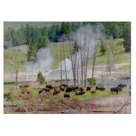 Glasköksduk - Yellowstone Bison