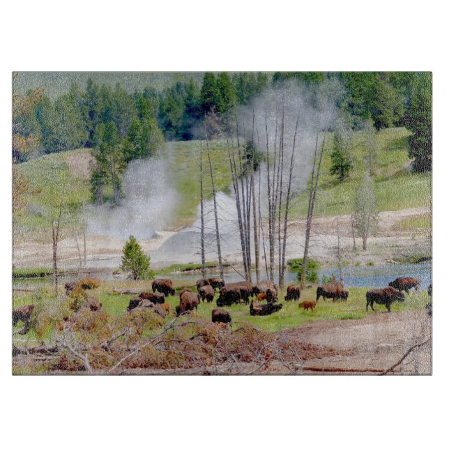 Glasköksduk - Yellowstone Bison (Framsidan)