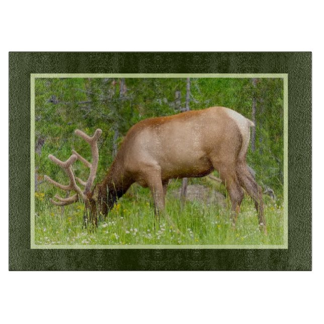 Glasköksduk - Yellowstone Elk (Framsidan)