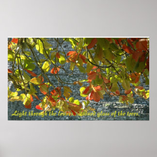 Glaslagret Träd - Poster med citat