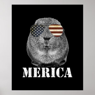 Glasögon av arterna Gris Merica Patriotic USA flag Poster